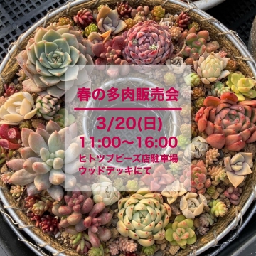 【3/20(日)】春の多肉販売会を開催します！を開く