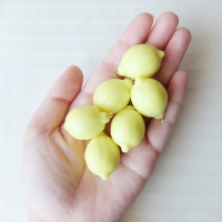 レモンみたいなビーズ