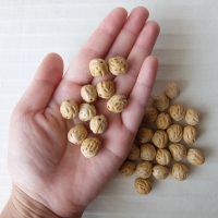 ヒトツブビーズ店のビーズ